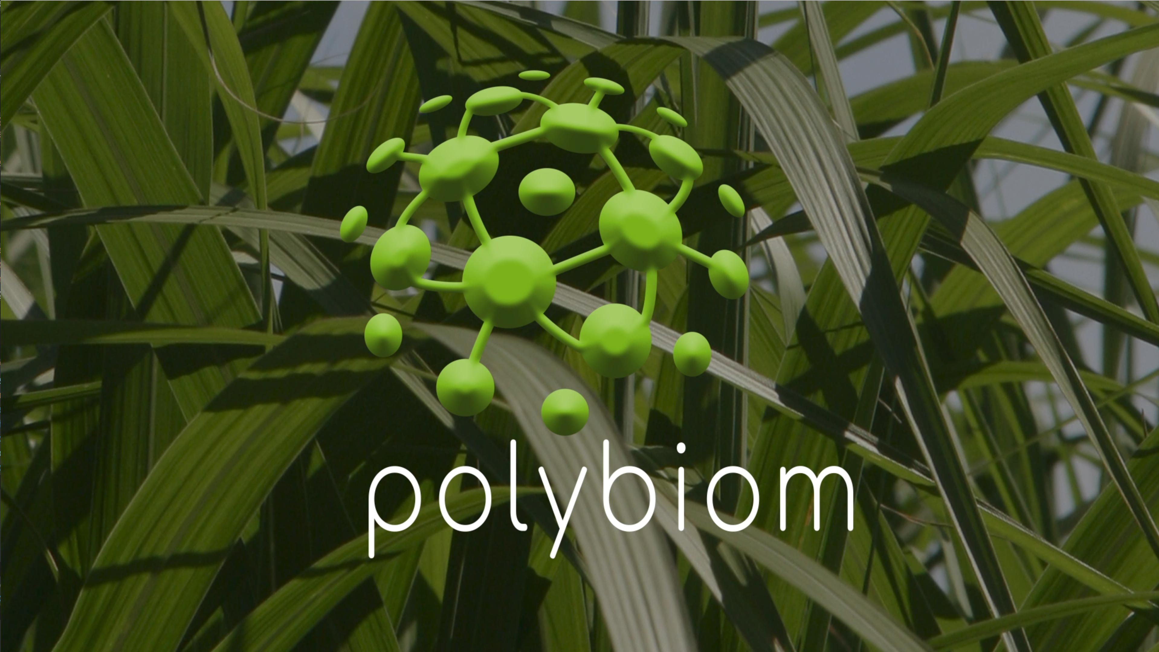 Vidéo polybiom